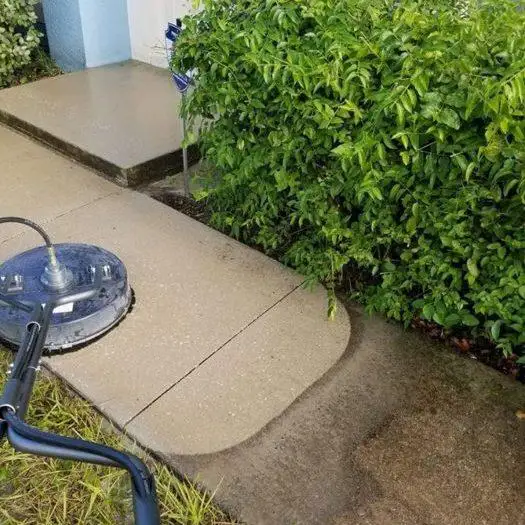 Example of a rotary surface cleaner pressure washing a concrete walkway beside a hedge